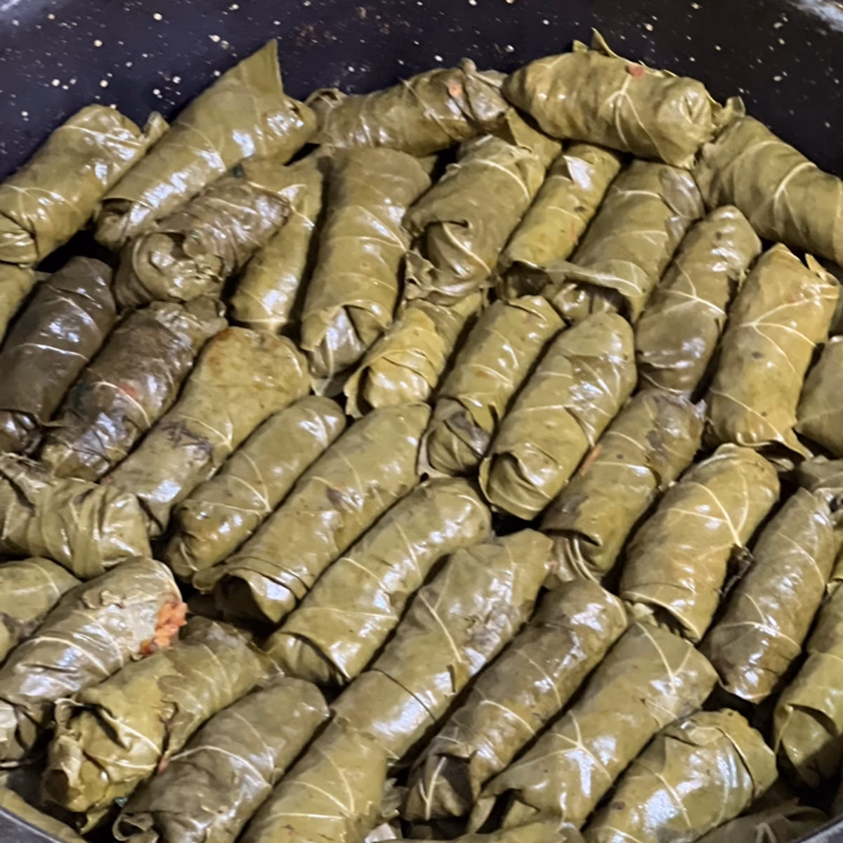 طبق ورق عنب محشي مصفوف في صحن سيراميك