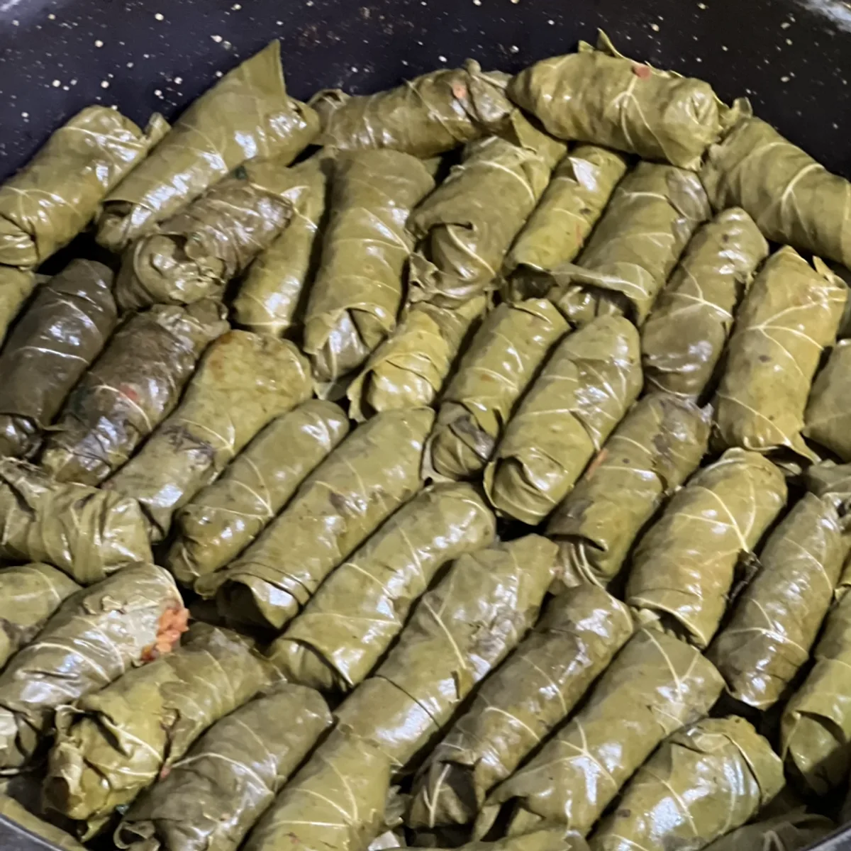 طبق ورق عنب محشي مصفوف في صحن سيراميك