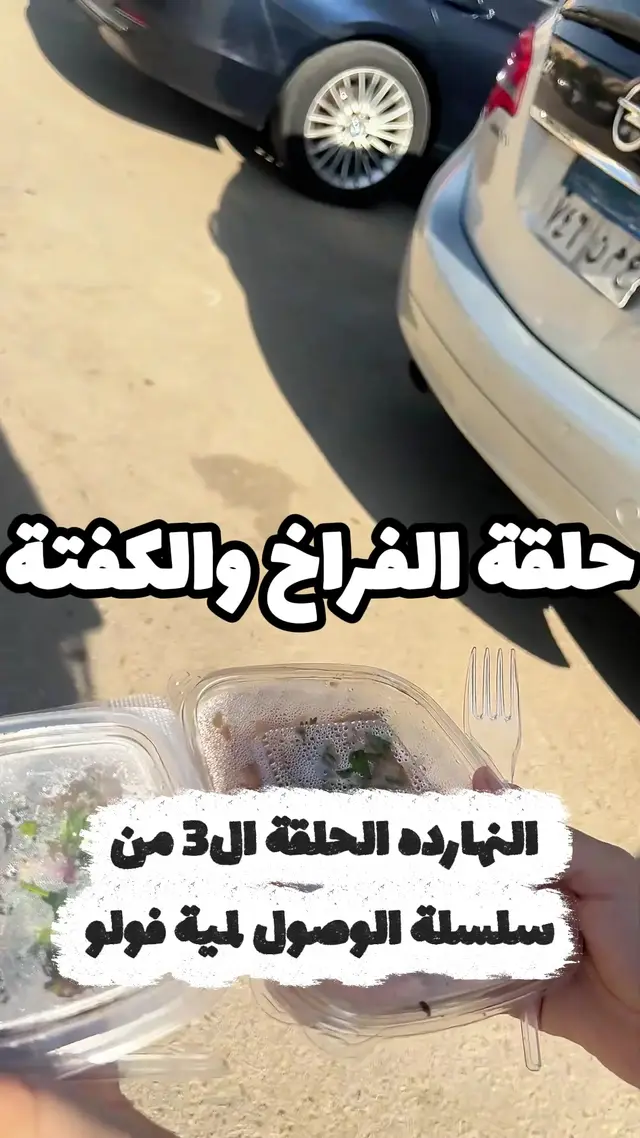حلقة الفراخ والكفتة