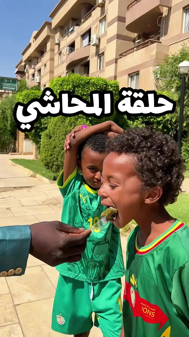 حلقة المحاشي